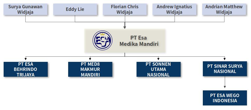 struktur-saham